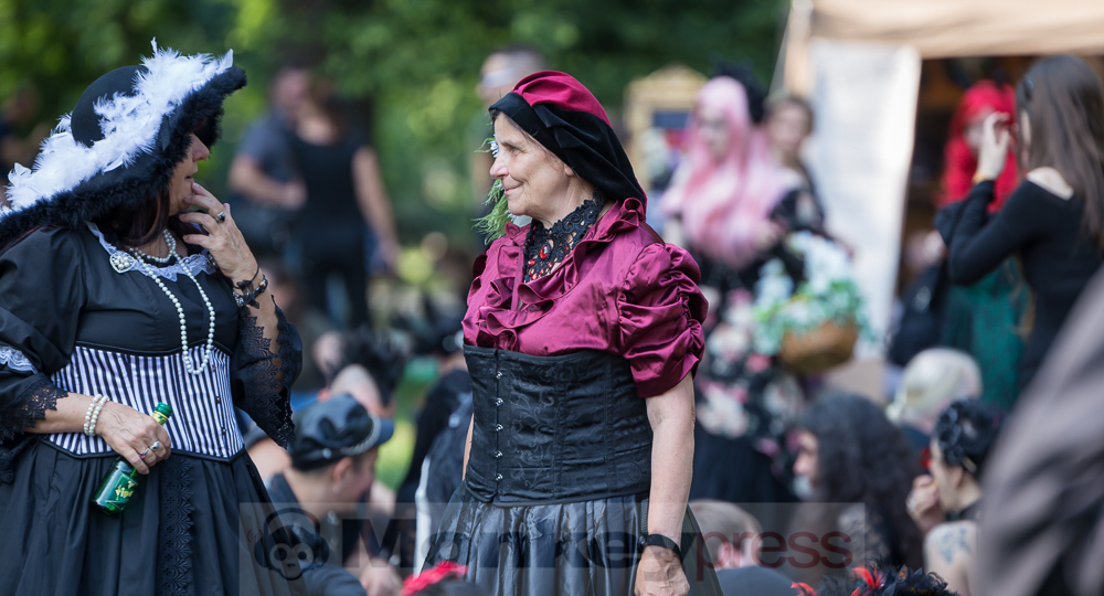 Viktorianisches Picknick 2019, © Danny Sotzny