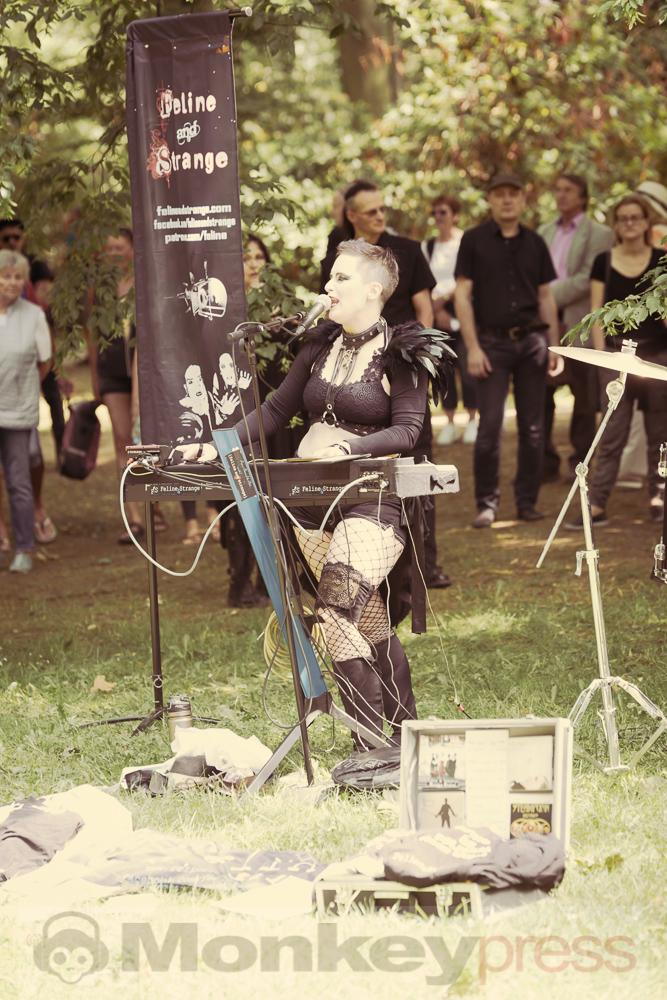 Viktorianisches Picknick 2019, © Danny Sotzny