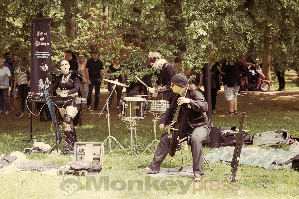 Viktorianisches Picknick 2019, © Danny Sotzny
