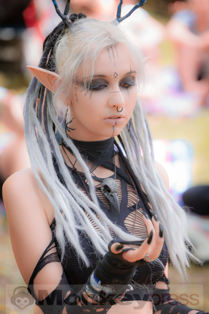 Viktorianisches Picknick 2019, © Danny Sotzny