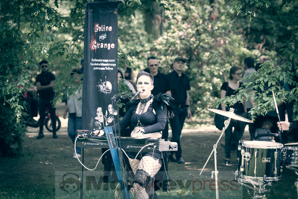 Viktorianisches Picknick 2019, © Danny Sotzny