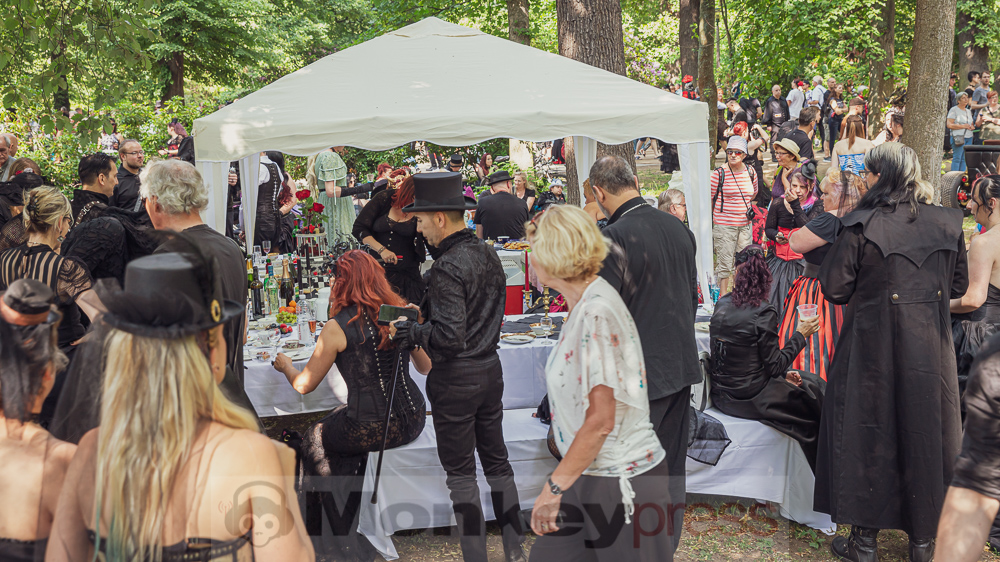 Viktorianisches Picknick 2019, © Danny Sotzny