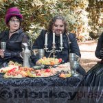 VIKTORIANISCHES PICKNICK zum 28. Wave-Gotik-Treffen 2019