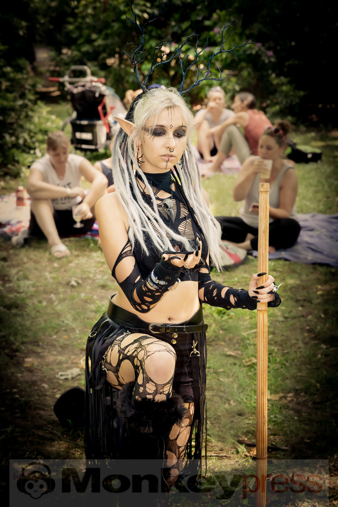 Viktorianisches Picknick 2019, © Danny Sotzny