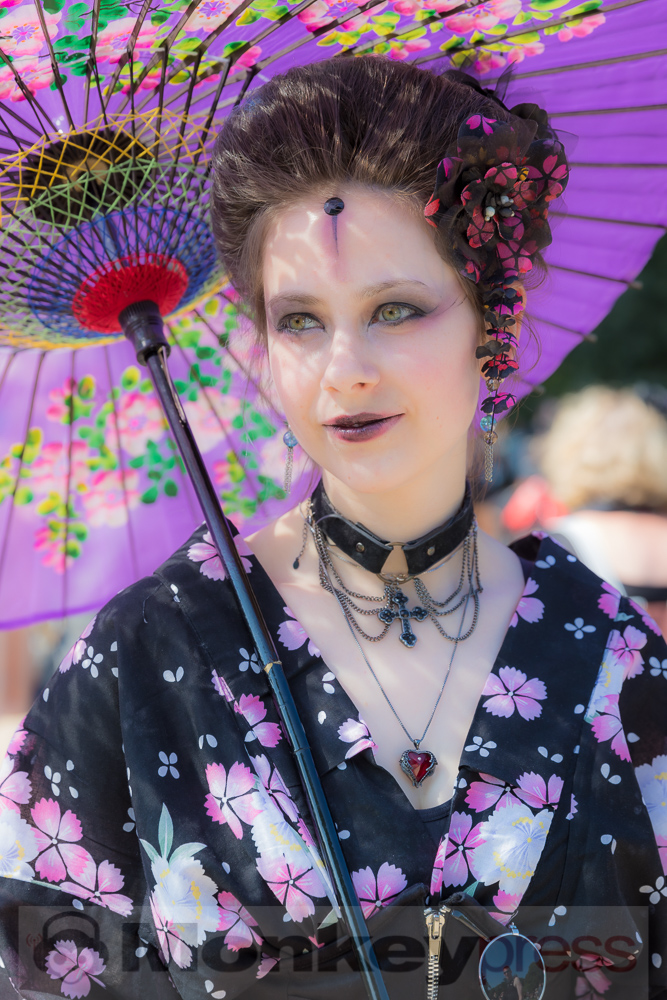 Viktorianisches Picknick 2019, © Danny Sotzny