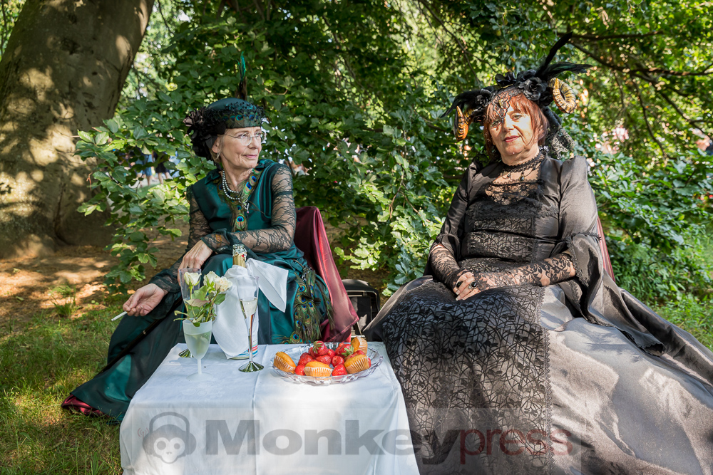 Viktorianisches Picknick 2019, © Danny Sotzny