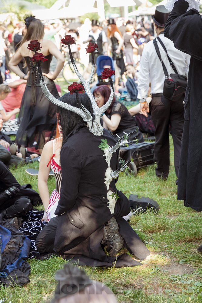 Viktorianisches Picknick 2019, © Danny Sotzny