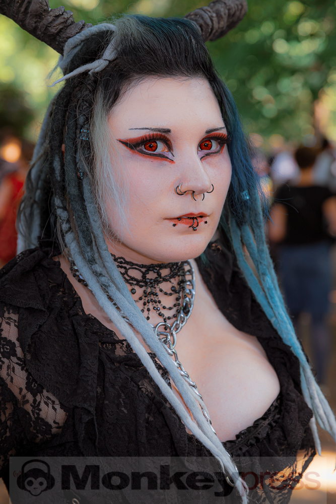 Viktorianisches Picknick 2019, © Danny Sotzny