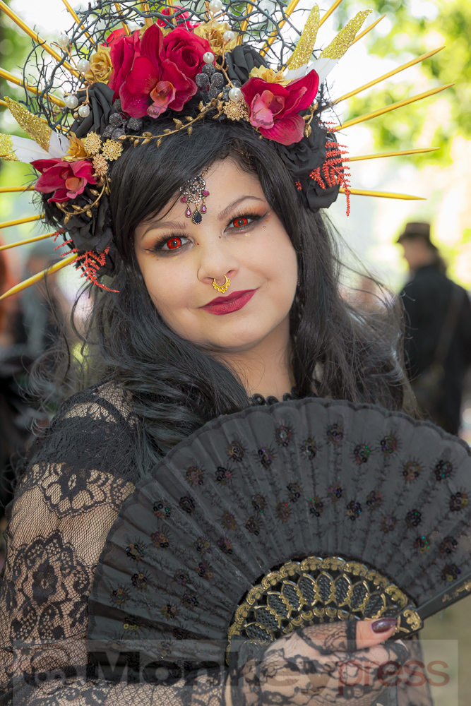 Viktorianisches Picknick 2019, © Danny Sotzny