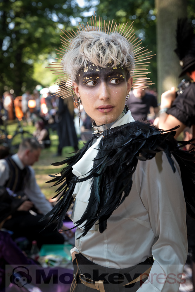 Viktorianisches Picknick 2019, © Danny Sotzny