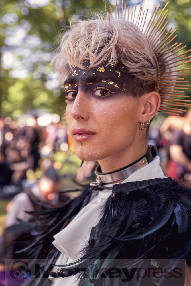 Viktorianisches Picknick 2019, © Danny Sotzny