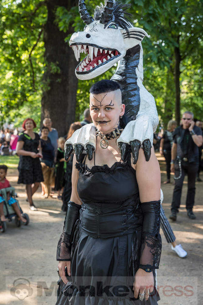Viktorianisches Picknick 2019, © Danny Sotzny