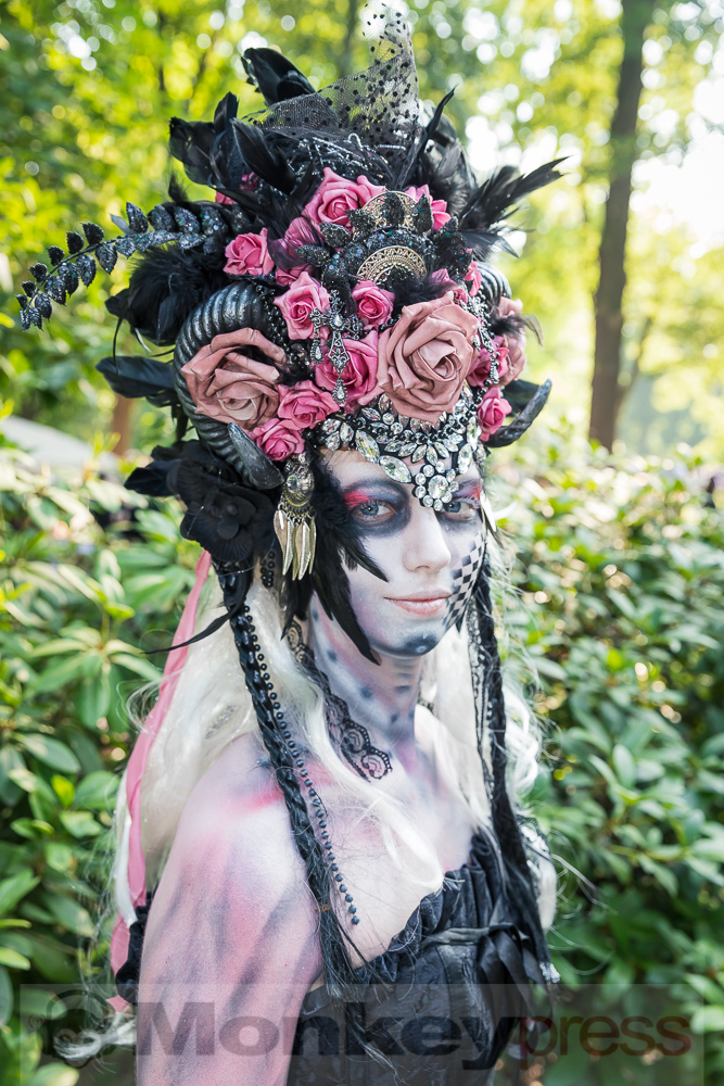 Viktorianisches Picknick 2019, © Danny Sotzny