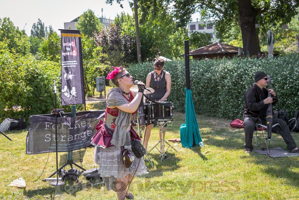 8. Steampunkpicknick, © Danny Sotzny