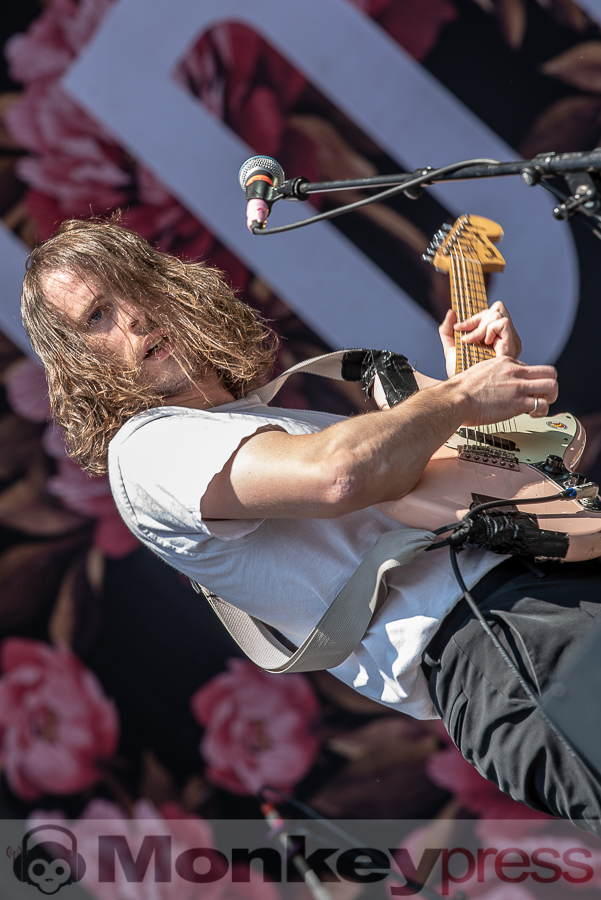 Idles, © Cynthia Theisinger