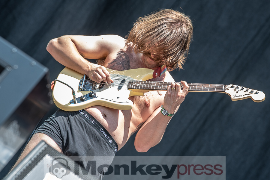 Idles, © Cynthia Theisinger