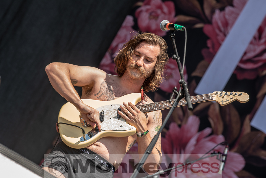 Idles, © Cynthia Theisinger