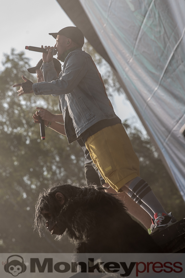 257ers, © Cynthia Theisinger