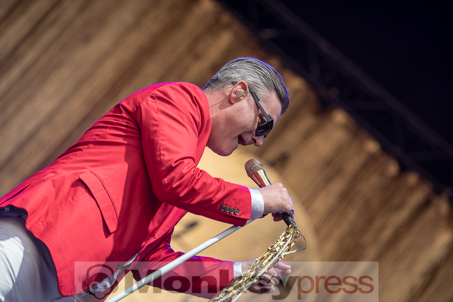 Me First And The Gimme Gimmes © Cynthia Theisinger