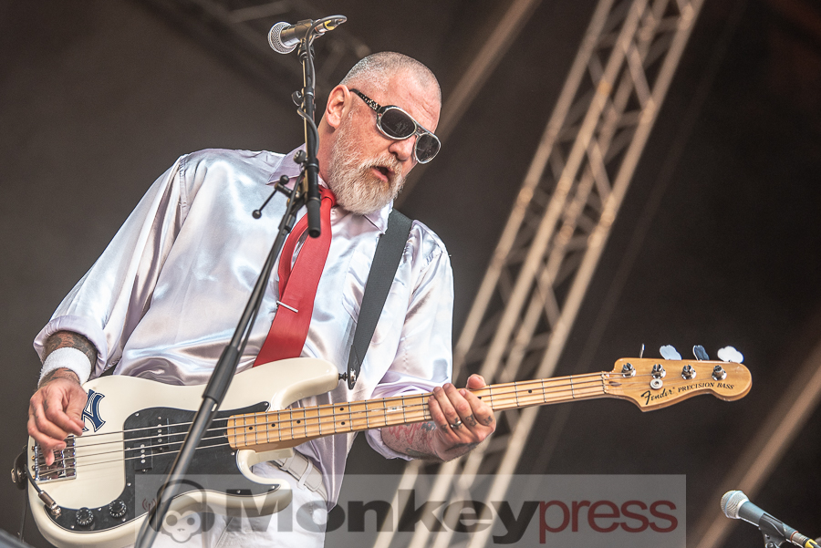 Me First And The Gimme Gimmes © Cynthia Theisinger
