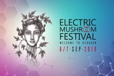 Im September 2019 steigt das ELECTRIC MUSHROOM FESTIVAL in Krefeld