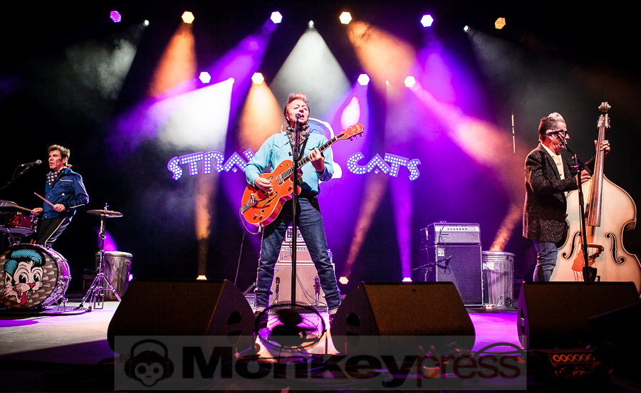 Fotos: Stray Cats Fotos: Stray Cats