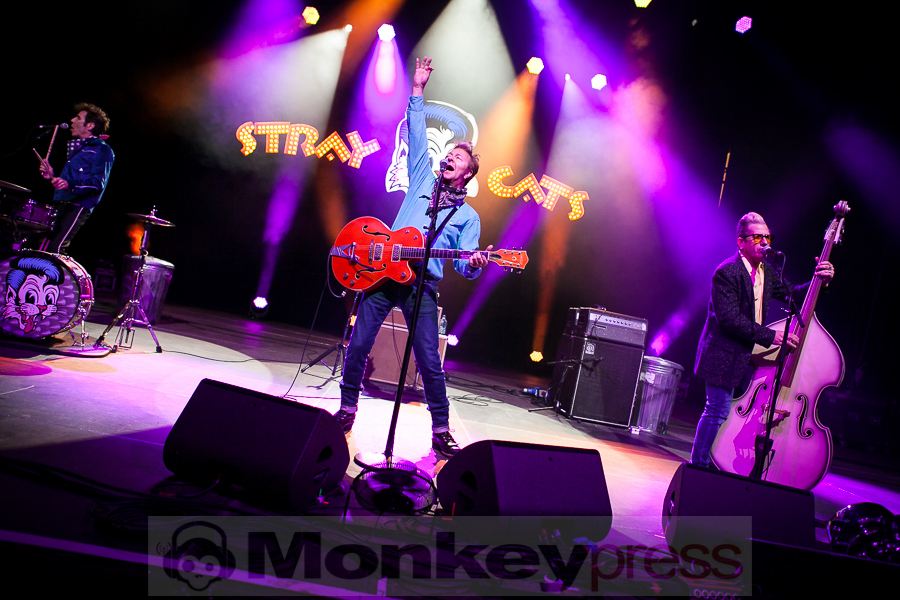 Fotos: Stray Cats Fotos: Stray Cats