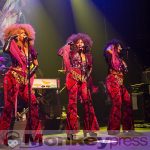 Fotos: LITTLE STEVEN AND THE DISCIPLES OF SOUL