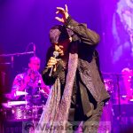 Fotos: LITTLE STEVEN AND THE DISCIPLES OF SOUL