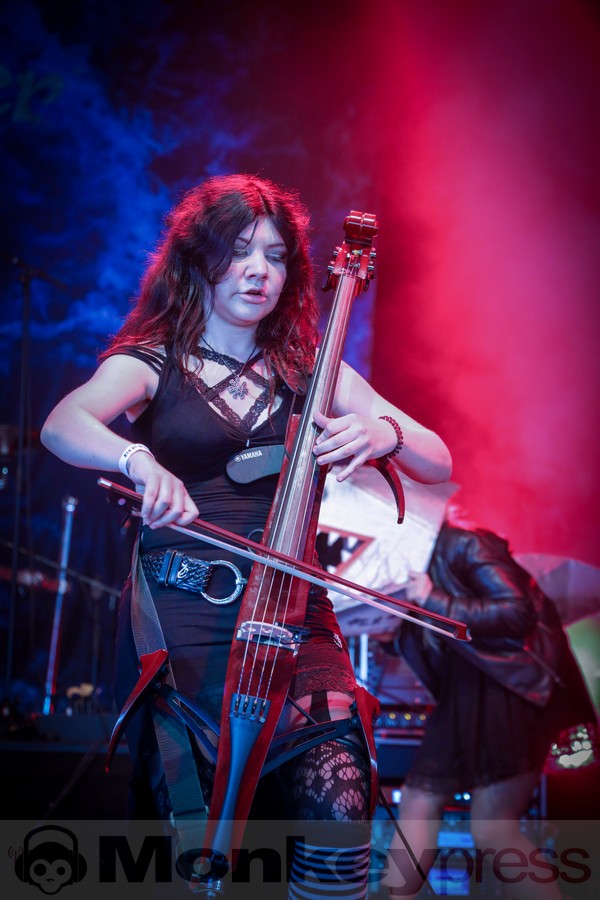 (c) Frank Halfmeier
