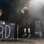 Fotos: AMPHI FESTIVAL 2019 – Bands (21.07.2019 bis 16:00 Uhr)