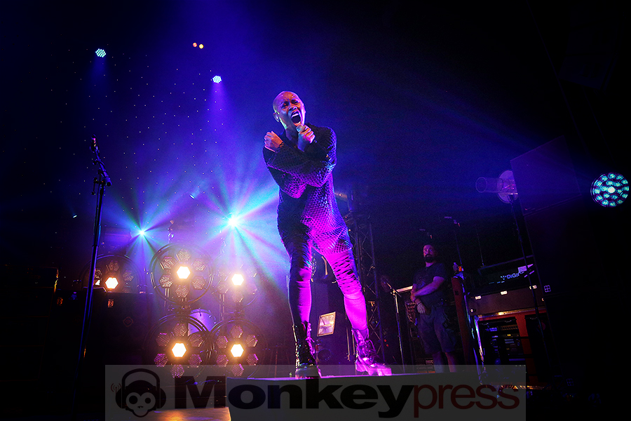 SKUNK ANANSIE © Sandro Griesbach