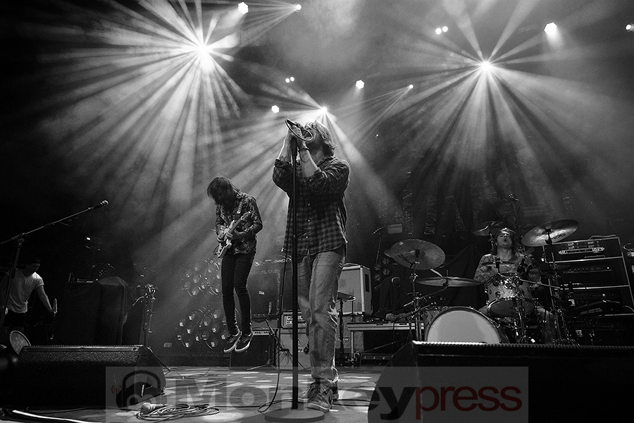 allusinlove © Sandro Griesbach