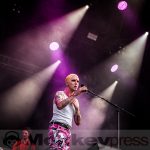 Fotos: HIGHFIELD FESTIVAL 2019 – Bands Freitag