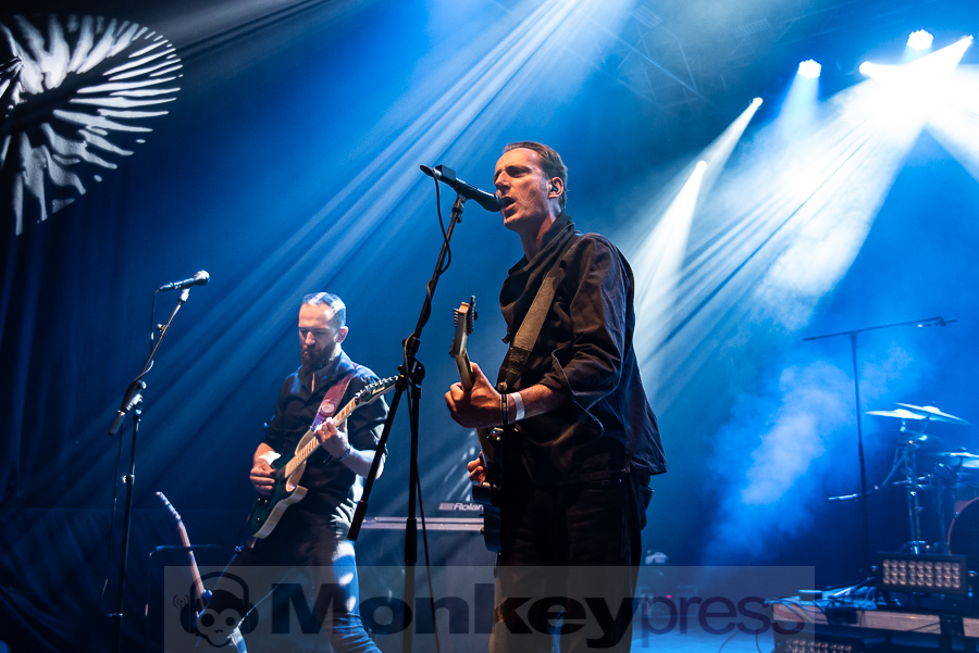 DISILLUSION © Thomas Papenbreer