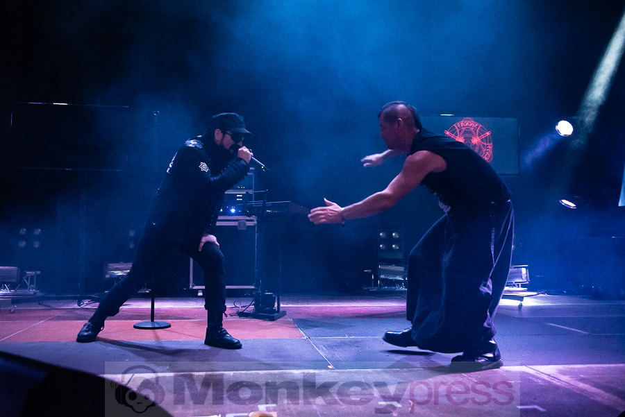 Merciful Nuns © Thomas Papenbreer