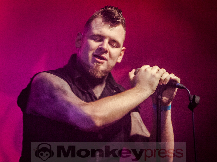 SYSTEM NOIRE © Dietmar Grabs