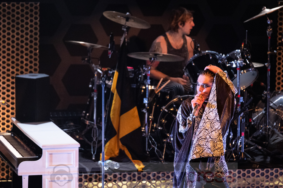 The Struts © Angela Trabert