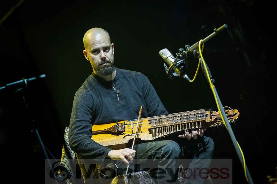 Sangre de Muerdago, © Miriam Neiken