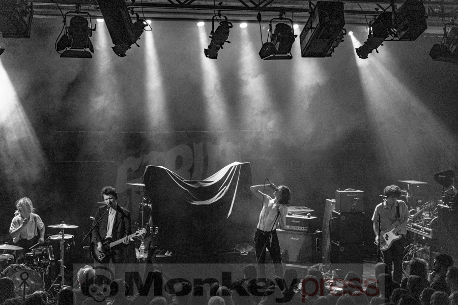 King Nun © Angela Trabert