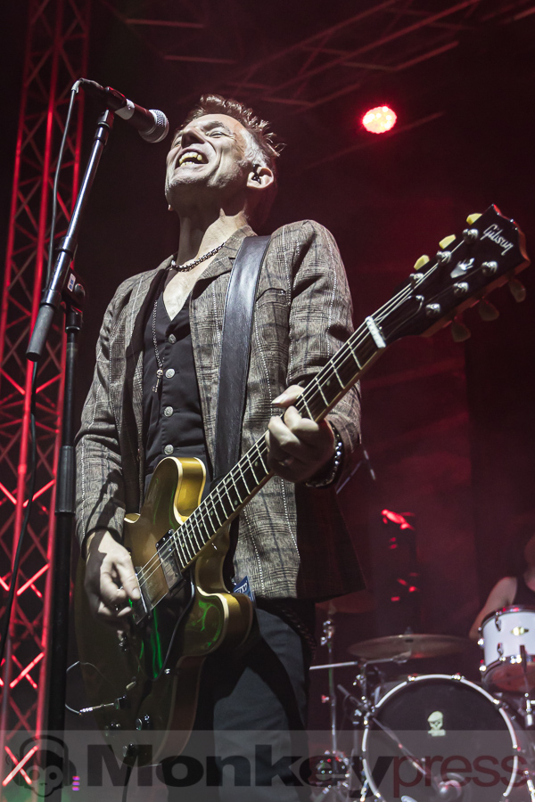 Mr. Irish Bastard, © Peter Bernsmann