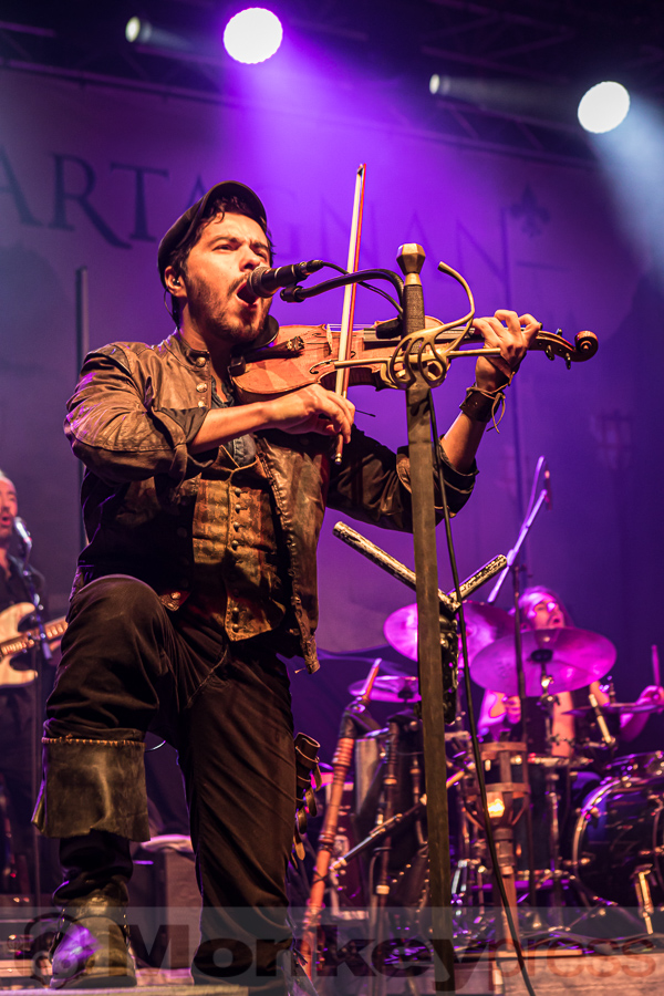 dArtagnan, © Peter Bernsmann