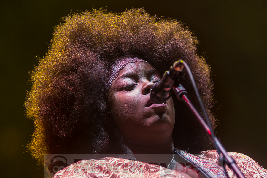 Yola, © Markus Hillgärtner