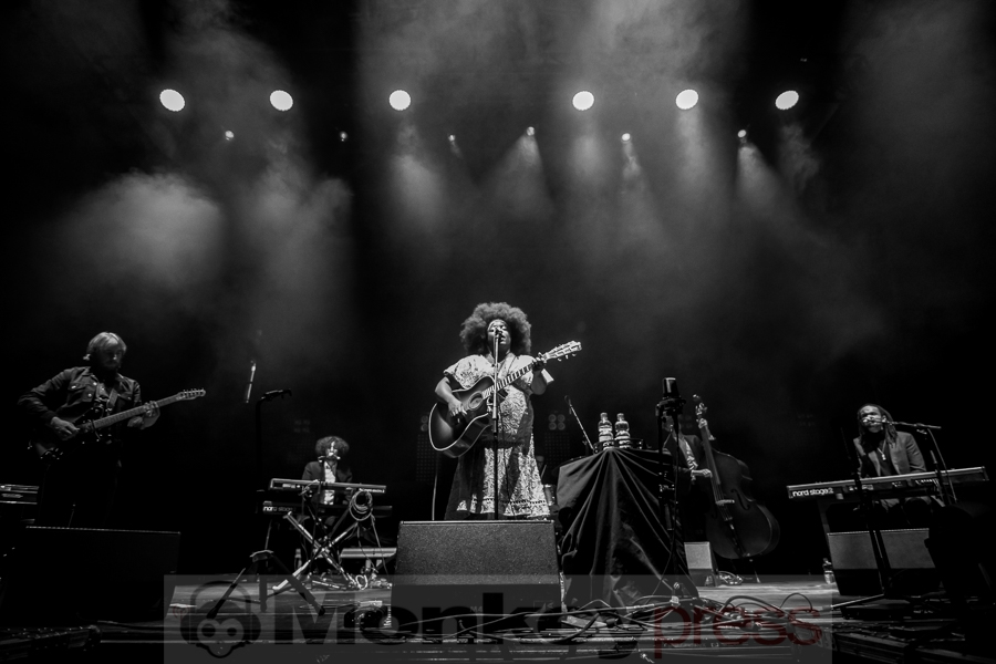 Yola, © Markus Hillgärtner