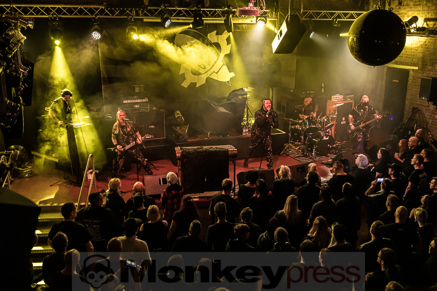 Viral, © Peter Bernsmann