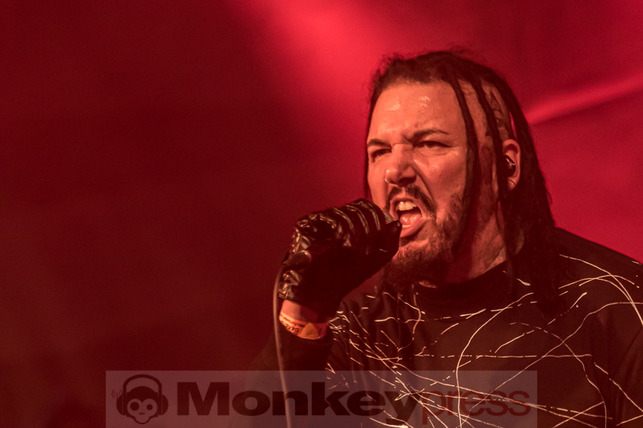 Viral, © Peter Bernsmann