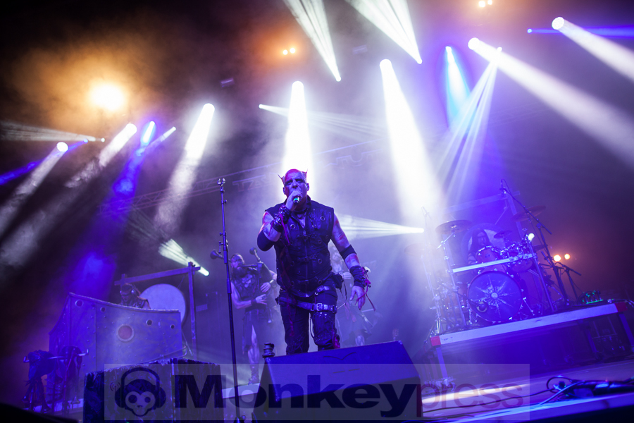 Tanzwut, © Thomas Bunge