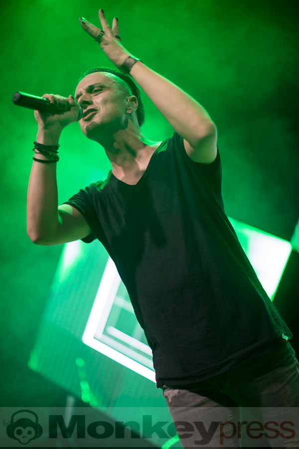 Solar Fake, © Thomas Bunge