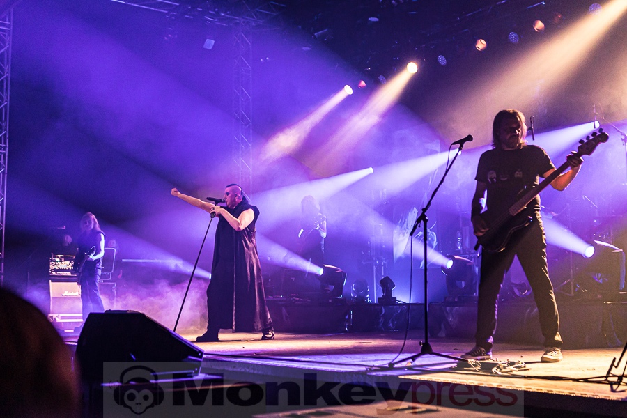 ASP, © Peter Bernsmann