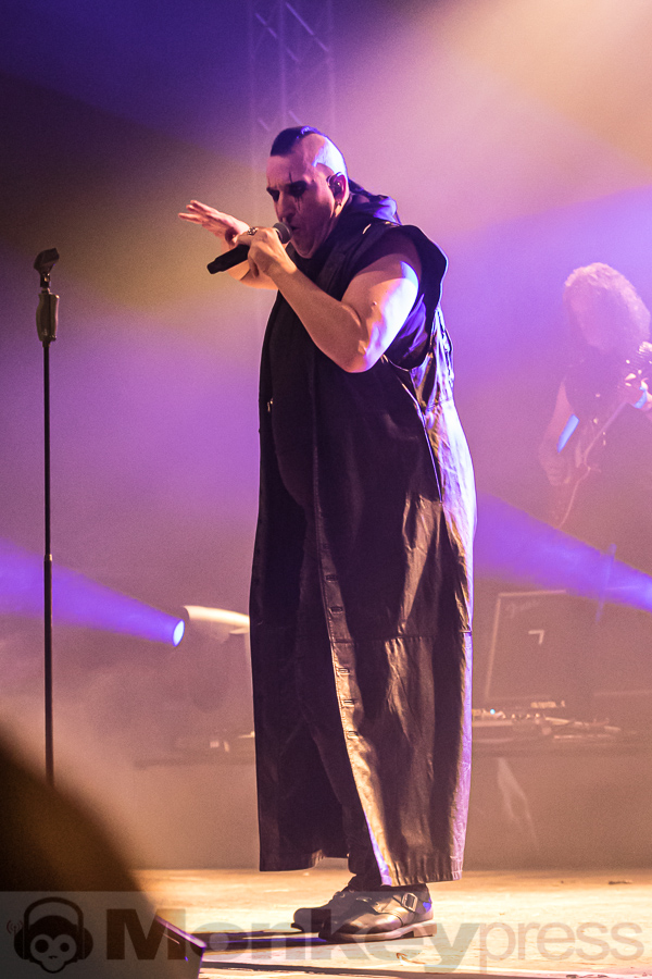 ASP, © Peter Bernsmann